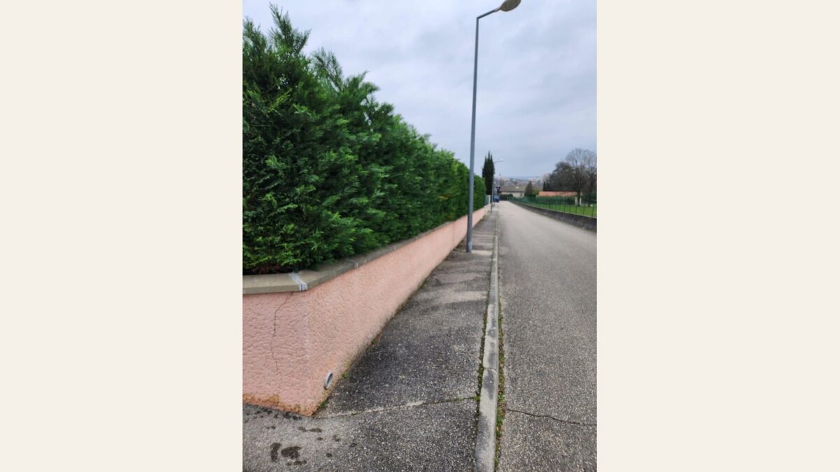 Haie de conifères sur muret crépi avant travaux à Pont-Évêque
