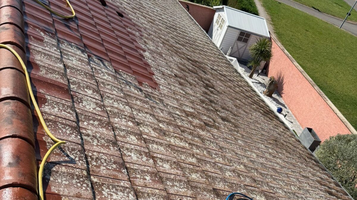 Tuiles terre cuite moussées avant démoussage et hydrofuge à Villars-les-Dombes