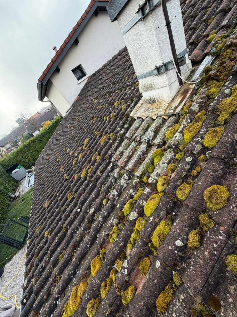 Nettoyage, démoussage et hydrofuge coloré à Villars-les-Dombes — Maison Française de l'Artisanat — photo 1
