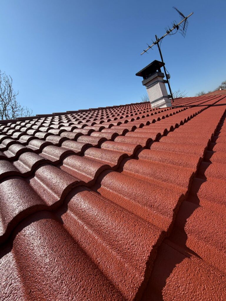 Nettoyage, démoussage et hydrofuge coloré à Villars-les-Dombes — Maison Française de l'Artisanat — photo 2