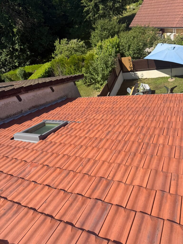 Nettoyage, démoussage et hydrofuge incolore à Décines-Charpieu — Maison Française de l'Artisanat — photo 2