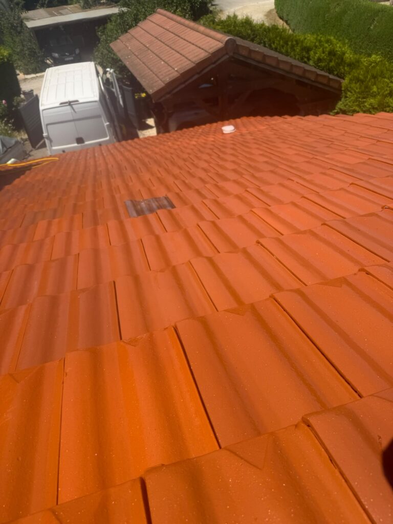 Nettoyage, démoussage et hydrofuge incolore à Miribel — Maison Française de l'Artisanat — photo 2
