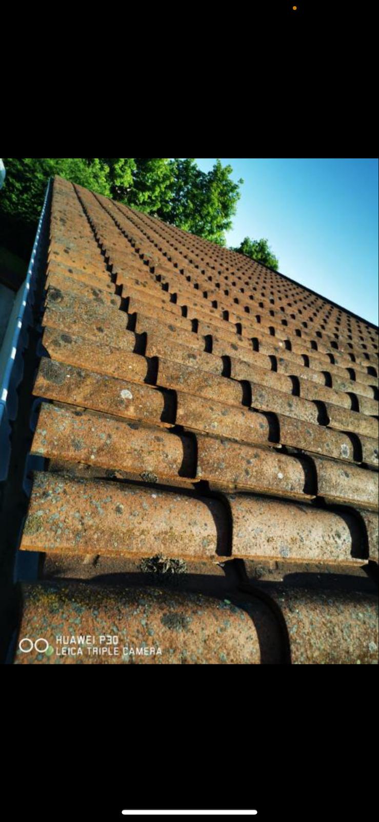 Nettoyage, démoussage et hydrofuge incolore à Versailleux — Maison Française de l'Artisanat — photo 1