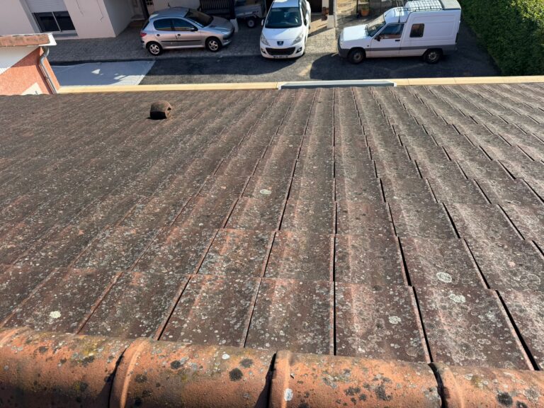 Nettoyage, démoussage et hydrofuge incolore à Villars-les-Dombes — Maison Française de l'Artisanat — photo 4