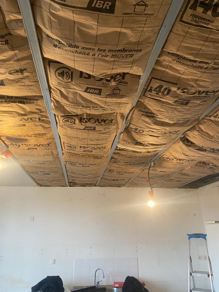 Réfection de plafond (isolation, placo, peinture) à Lyon 4e — Maison Française de l'Artisanat — photo 1
