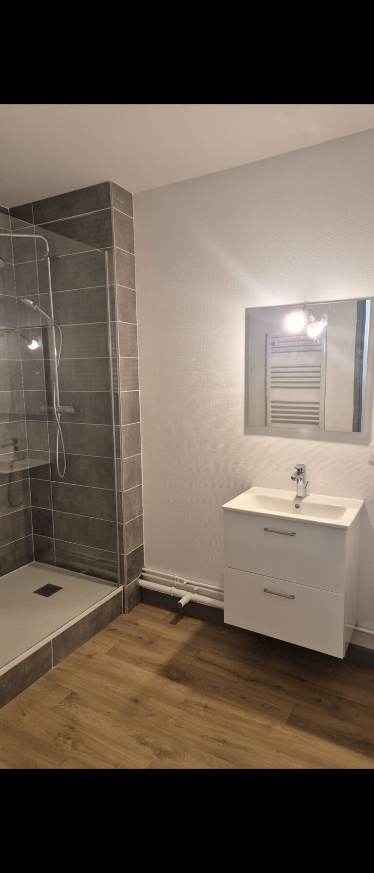 Rénovation intégrale d'appartement à Bourg-en-Bresse — Maison Française de l'Artisanat — photo 2