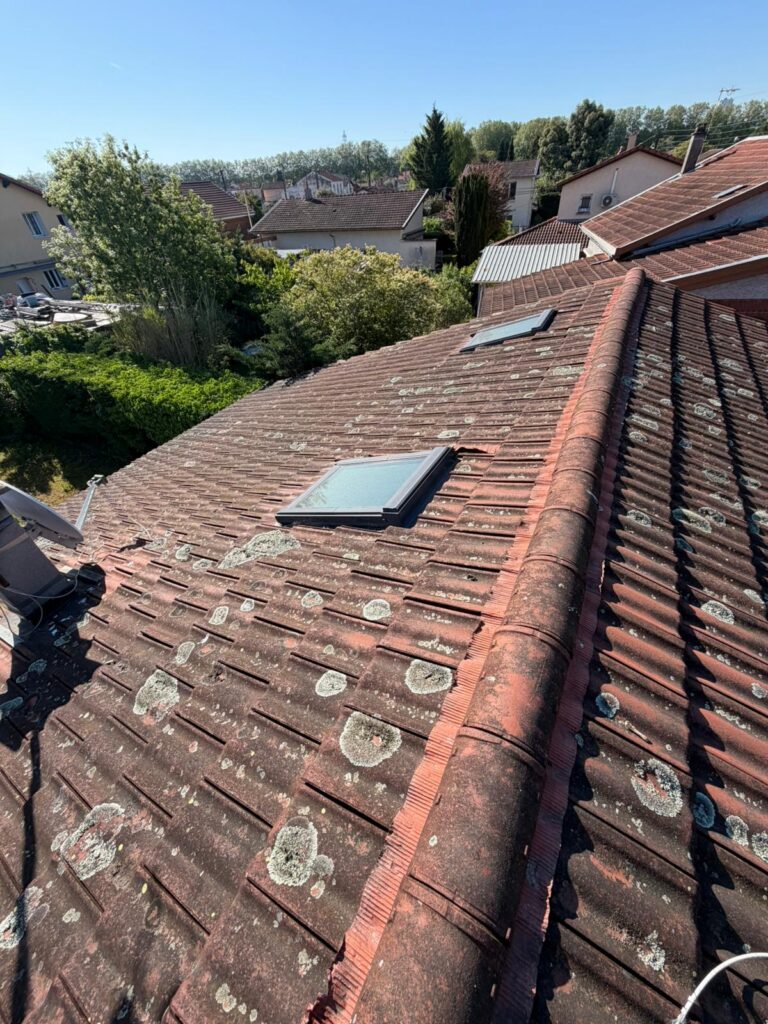 Faîtage, closoir ventilé et hydrofuge incolore à Vaulx-en-Velin — Maison Française de l'Artisanat — photo 1