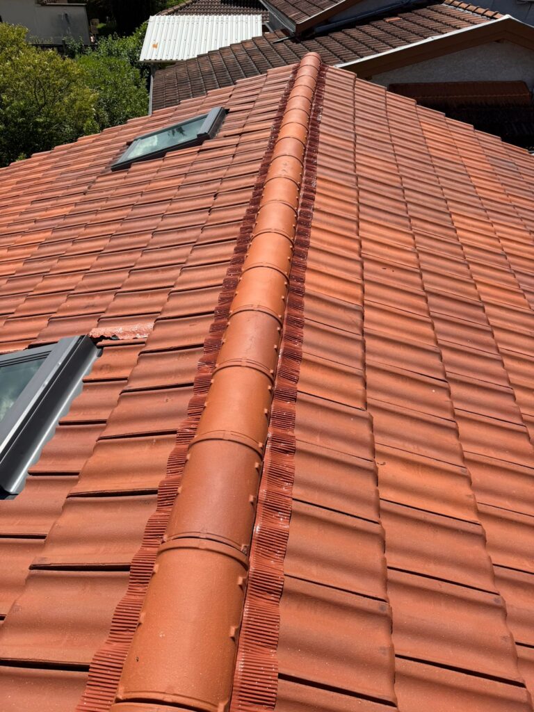 Faîtage, closoir ventilé et hydrofuge incolore à Vaulx-en-Velin — Maison Française de l'Artisanat — photo 2