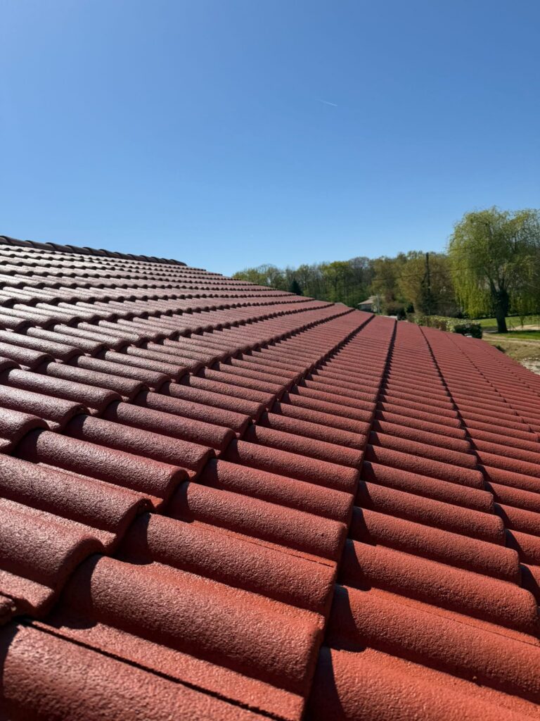 Rénovation de toiture (hydrofuge coloré) à Meyzieu — Maison Française de l'Artisanat — photo 2
