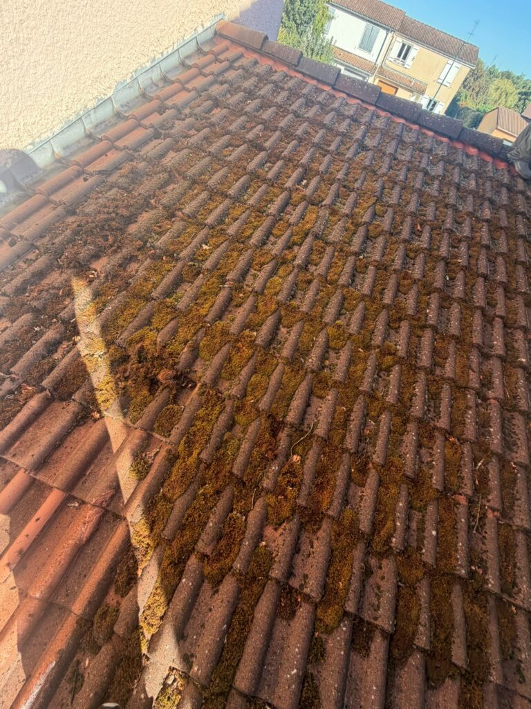 Tuiles béton romanes encrassées avant démoussage et hydrofuge coloré à Saint-Paul-de-Varax