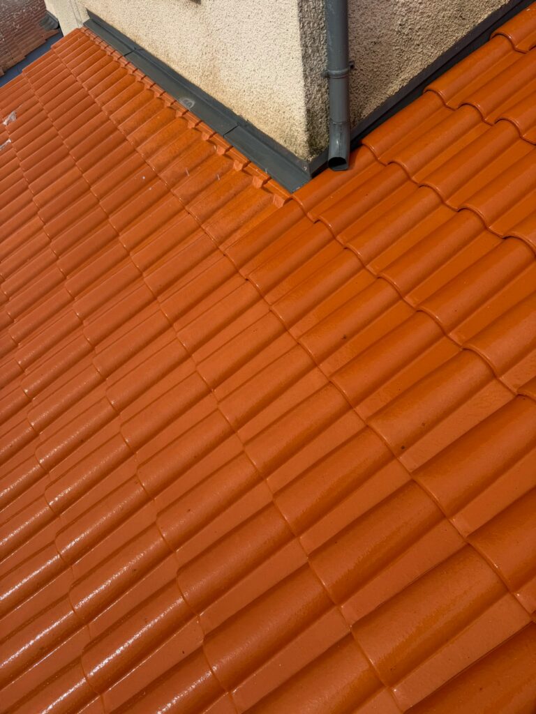 Tuiles romanes nettoyées et hydrofugées à Villars-les-Dombes