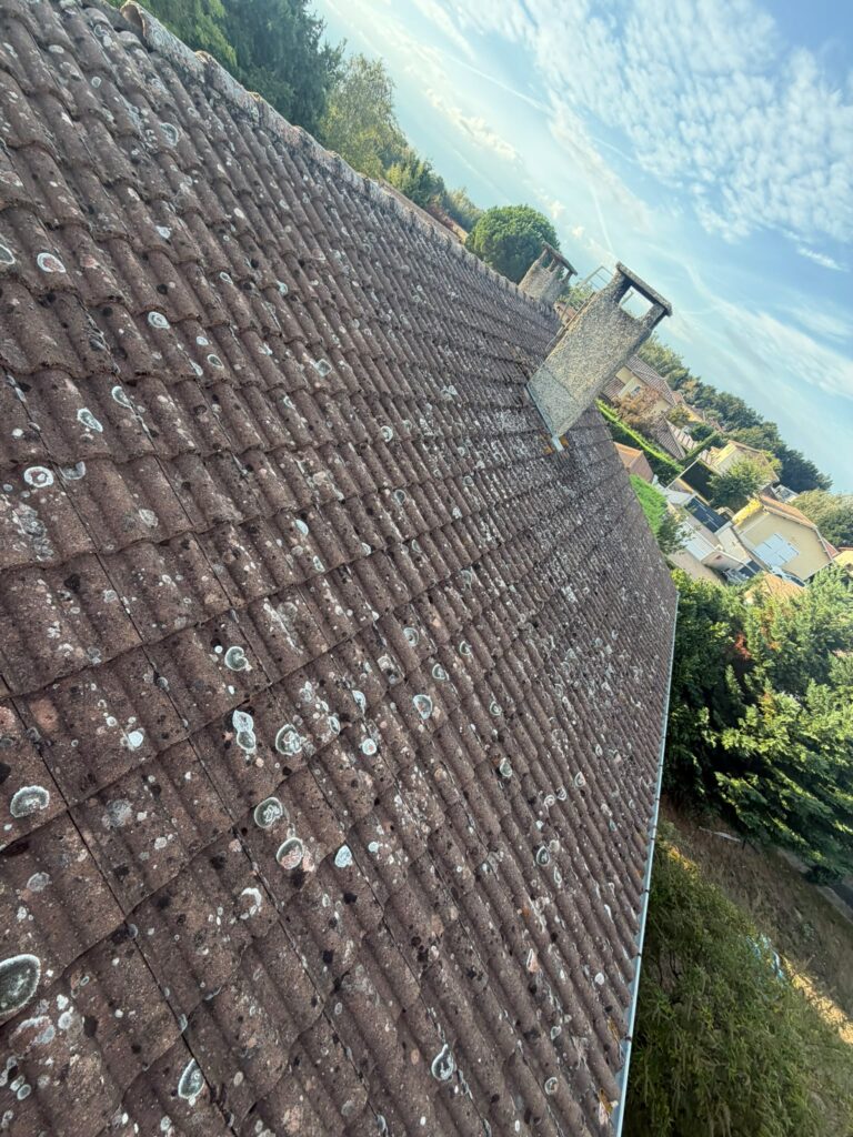 Ancienne couverture en tuiles encrassées avant réfection à Messimy-sur-Saône