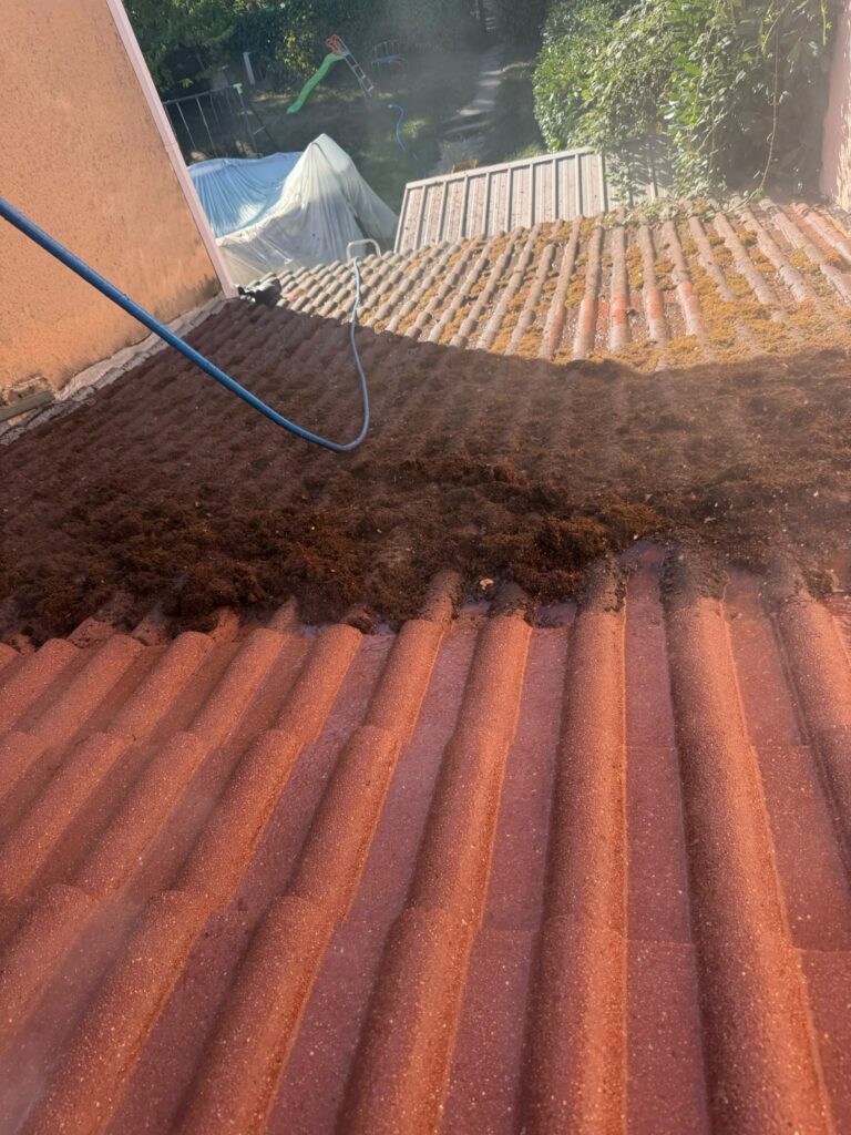 Tuiles béton en cours de démoussage à Saint-Paul-de-Varax