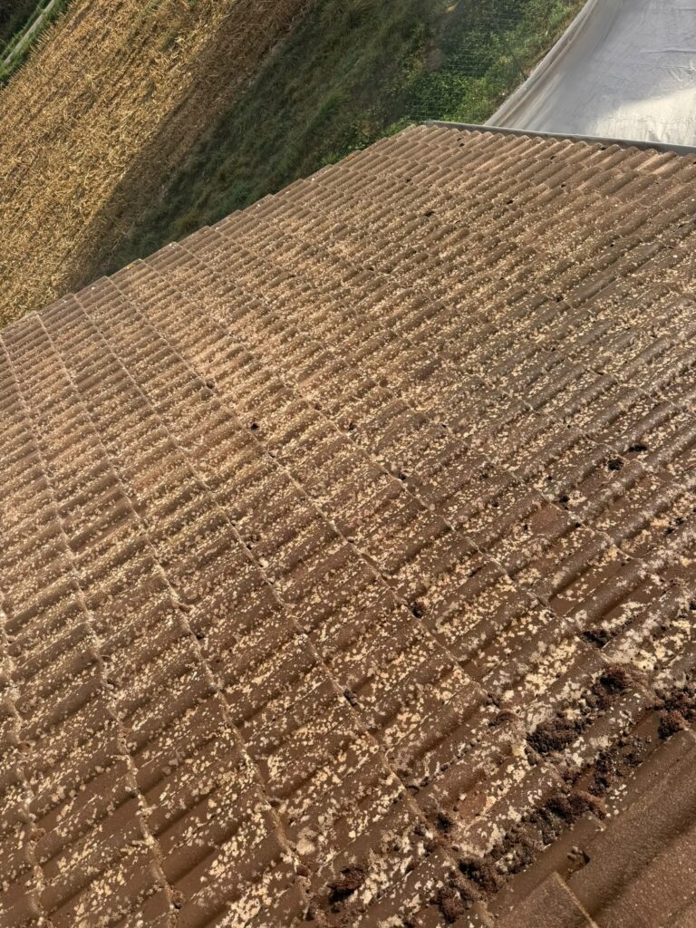 Gros plan tuiles béton encrassées mousses et lichens avant démoussage — Saint-Marcel-en-Dombes